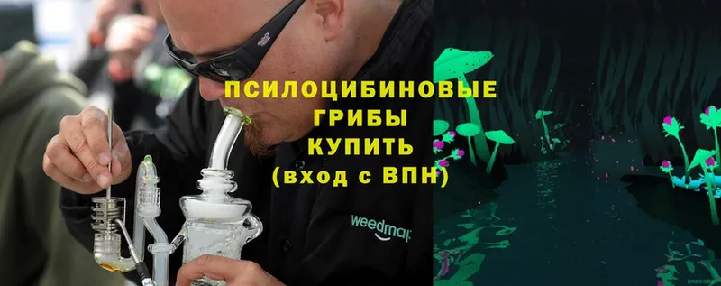 как найти закладки  Пыталово  Галлюциногенные грибы MAGIC MUSHROOMS 